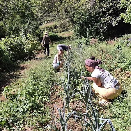 بيت للعطل Ecogite En Pleine Nature *