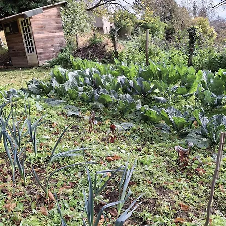 Ecogite En Pleine Nature * Bourigeole