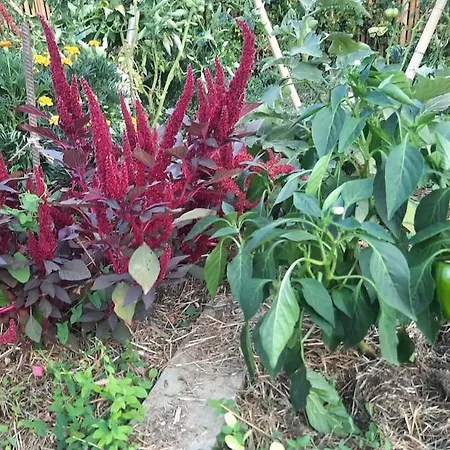 بيت للعطل Ecogite En Pleine Nature Bourigeole