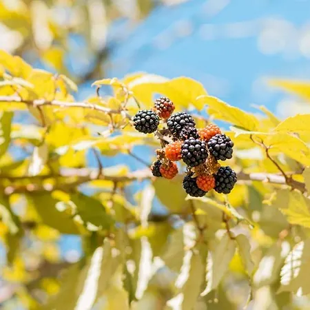 Ecogite En Pleine Nature بيت للعطل *