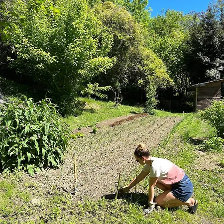 Ecogite En Pleine Nature