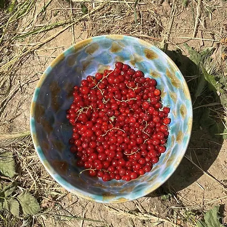 Ecogite En Pleine Nature Bourigeole