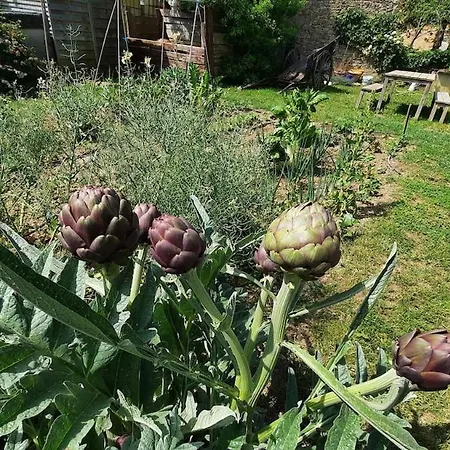 Ecogite En Pleine Nature Bourigeole